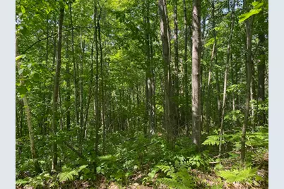 Lot 7 Secluded Trail, Hayward, WI 54843 - Photo 21