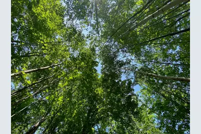 Lot 7 Secluded Trail, Hayward, WI 54843 - Photo 13