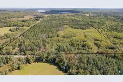 74Xxx S Hallberg Rd, Lake Nebagamon, WI 54849 - Photo 3