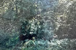 74Xxx S Hallberg Rd, Lake Nebagamon, WI 54849 - Photo 1