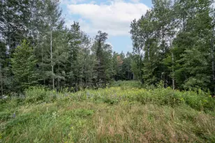 45Xx - Lot B2 Norway Pines Pl, Hermantown, MN 55811 - Photo 7