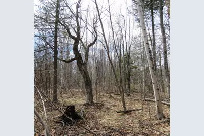 Xxx County Hwy 8, Finland, MN 55603 - Photo 37