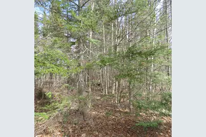 Xxx County Hwy 8, Finland, MN 55603 - Photo 45