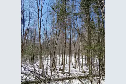 Xxx County Hwy 8, Finland, MN 55603 - Photo 3