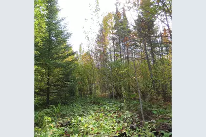 Xxx County Hwy 8, Finland, MN 55603 - Photo 23