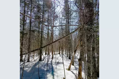 Xxx County Hwy 8, Finland, MN 55603 - Photo 5