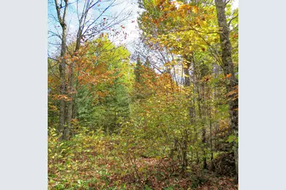 Xxx County Hwy 8, Finland, MN 55603 - Photo 25