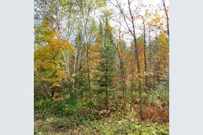 Xxx County Hwy 8, Finland, MN 55603 - Photo 19