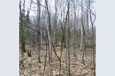 Xxx County Hwy 8, Finland, MN 55603 - Photo 43