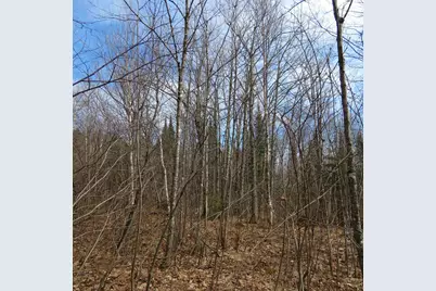 Xxx County Hwy 8, Finland, MN 55603 - Photo 41