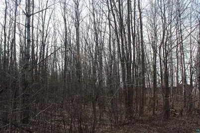 50Xx S Maple Dr, Poplar, WI 54864 - Photo 3