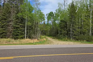 7316 Crane Lake Rd, Crane Lake, MN 55725 - Photo 1