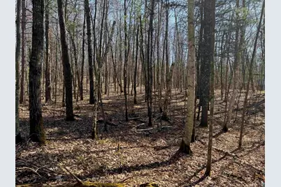 5 Acres On Spring Lake Rd, Trego, WI 54888 - Photo 11