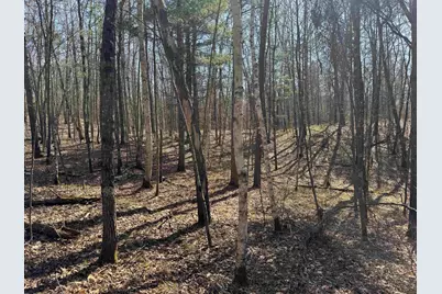 5 Acres On Spring Lake Rd, Trego, WI 54888 - Photo 9