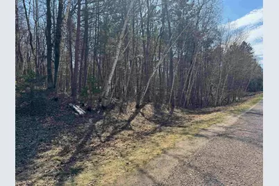 5 Acres On Spring Lake Rd, Trego, WI 54888 - Photo 15