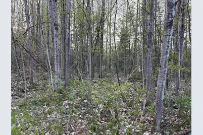 0000 Mertig Rd, Glidden, WI 54527 - Photo 7
