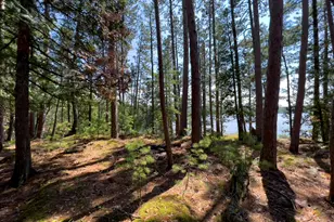 2928 Waters Is, Ely, MN 55731 - Photo 41