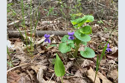 000 W 12th St, Washburn, WI 54891 - Photo 11