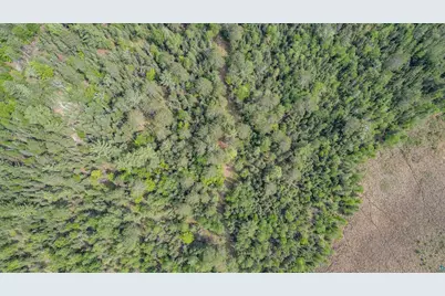 Xxx Forest Dr, Duluth, MN 55803 - Photo 5