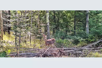 Lot 2, Block 2 Raspberry Trl, La Pointe, WI 54850 - Photo 7