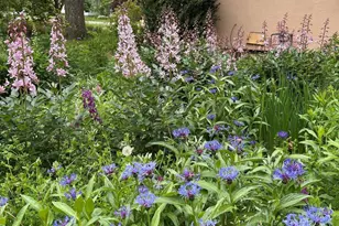 822 MacArthur Ave, Ashland, WI 54806 - Photo 41