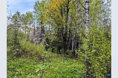 Xx37 W Lismore Rd, Duluth, MN 55803 - Photo 1