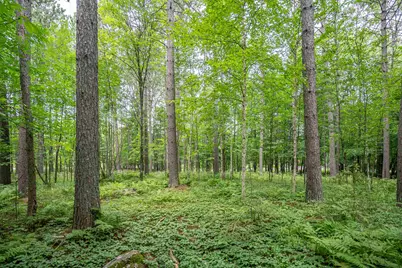 51Xx Lindahl Rd, Duluth, MN 55811 - Photo 3