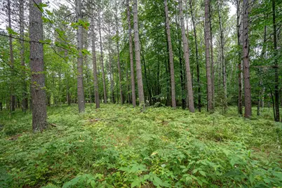 51Xx Lindahl Rd, Duluth, MN 55811 - Photo 15