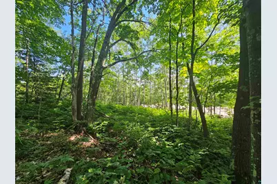 Xxxx State Highway 13, Washburn, WI 54891 - Photo 3