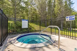1624 #85 - 6 Superior Shores, Two Harbors, MN 55616 - Photo 25
