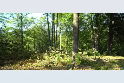 83Xxx Ashwabay Heights Rd, Bayfield, WI 54814 - Photo 3