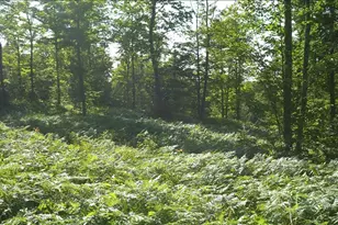 83Xxx Ashwabay Heights Rd, Bayfield, WI 54814 - Photo 1