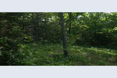 83Xxx Ashwabay Heights Rd, Bayfield, WI 54814 - Photo 7