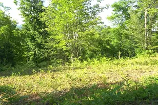 83Xxx Ashwabay Heights Rd, Bayfield, WI 54814 - Photo 1