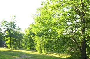83Xxx Ashwabay Heights Rd, Bayfield, WI 54814 - Photo 3