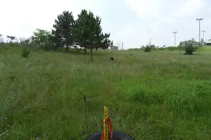 Xxxx Moon Dr, Iron River, WI 54847 - Photo 5