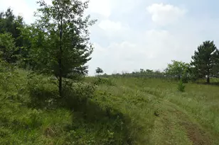 Xxxx Moon Dr, Iron River, WI 54847 - Photo 3