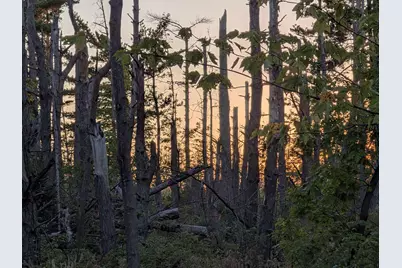 9.58 Acres On Peterson Hill Rd, Bayfield, WI 54814 - Photo 1