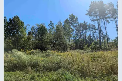 9.58 Acres On Peterson Hill Rd, Bayfield, WI 54814 - Photo 5