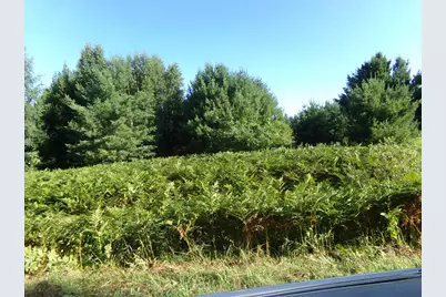 7581 S Marsik Rd, Lake Nebagamon, WI 54849 - Photo 5