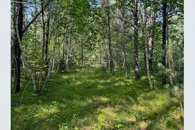 18.8 Acres On State Hwy 27, Hayward, WI 54843 - Photo 29