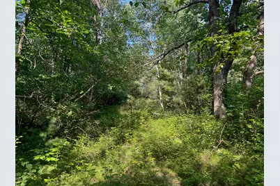 18.8 Acres On State Hwy 27, Hayward, WI 54843 - Photo 55