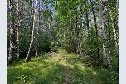 18.8 Acres On State Hwy 27, Hayward, WI 54843 - Photo 19