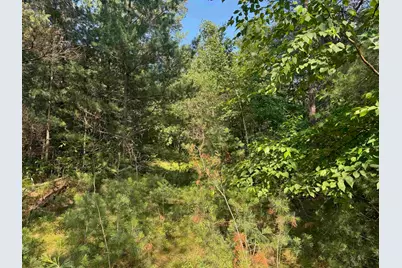 18.8 Acres On State Hwy 27, Hayward, WI 54843 - Photo 43