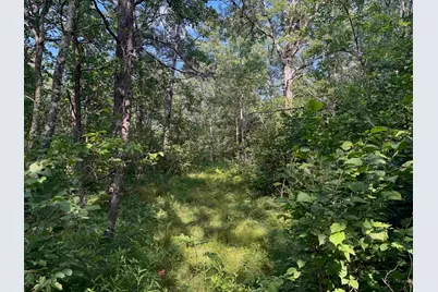 18.8 Acres On State Hwy 27, Hayward, WI 54843 - Photo 39