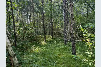 18.8 Acres On State Hwy 27, Hayward, WI 54843 - Photo 23