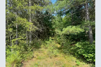 18.8 Acres On State Hwy 27, Hayward, WI 54843 - Photo 37