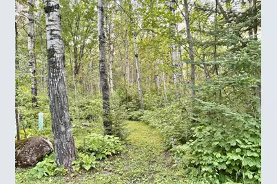 1454 Townline Rd, Brimson, MN 55602 - Photo 33