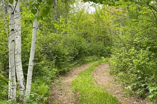 1454 Town Line Rd, Brimson, MN 55602 - Photo 3