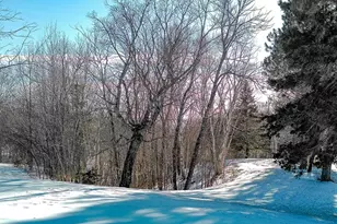 532X Caribou Trail, Lutsen, MN 55612 - Photo 31
